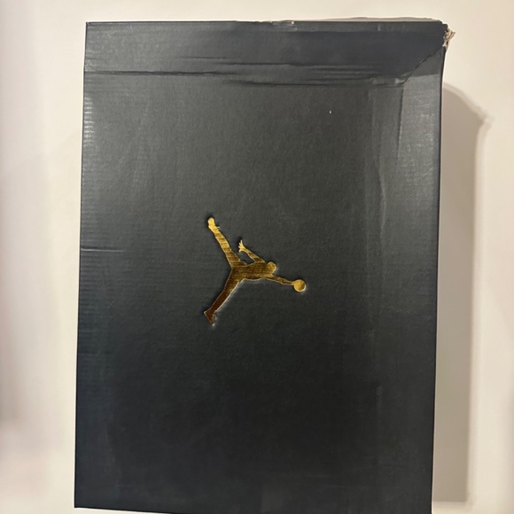 Air Jordan 10 Retro 2018 Cool Grey - Picture 4 of 5